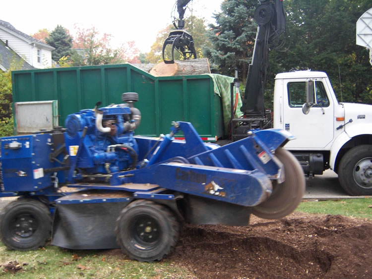 tree stump grinding