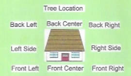 Tree Location